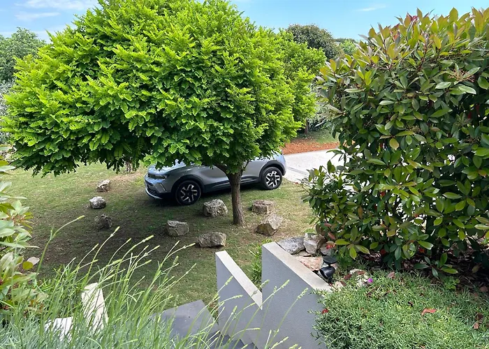 Daire Pretty Little Thing Called Biska *