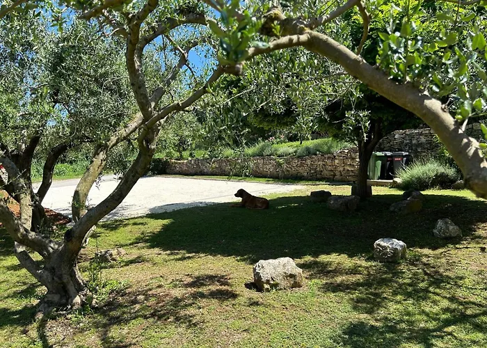 Pretty Little Thing Called Biska Daire *