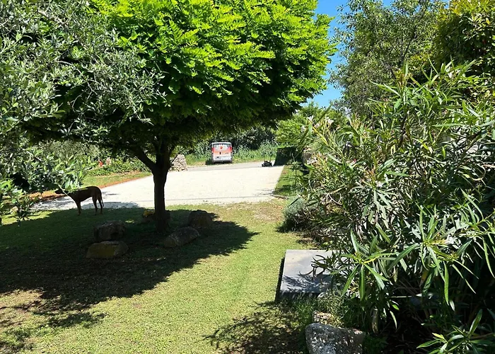 Pretty Little Thing Called Biska Pula