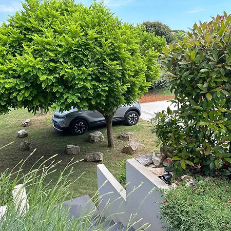 Apartman Pretty Little Thing Called Biska *